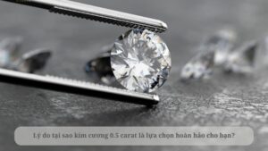 kim cương 0.5 carat